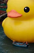 Image result for Rubber Duck Floating