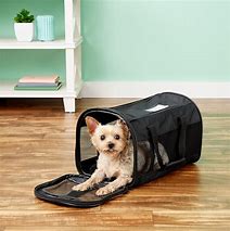 Image result for Chewy Dog Carts