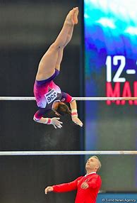 Image result for Gymnastics Apparatus