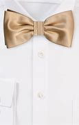 Image result for Champange Bow Tie