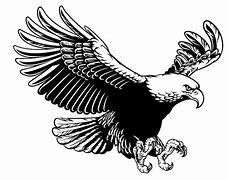 Image result for Black and White Drawing of Eagle