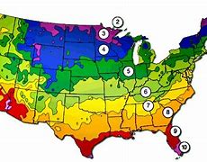 Image result for Burpee Zone Map