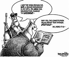Image result for Political Cartoon About Second Amendment
