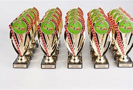 Image result for Sporting Trophies