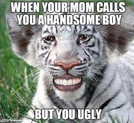 Image result for Humorous Tiger Memes