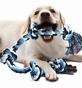 Image result for Large Dog Rope Toy