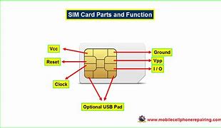 Image result for Sim Card Holder Pinout