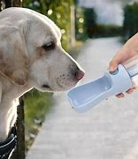 Image result for Portable Dog Water Trough