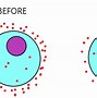 Image result for Cells Symbol Direction