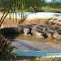 Image result for Giant Crocodile Philippines