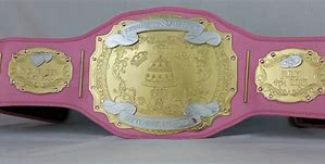 Image result for Wrestling Belt Collection
