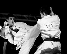 Image result for Kyokushin Karate Pics