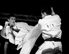 Image result for kyokushin karate