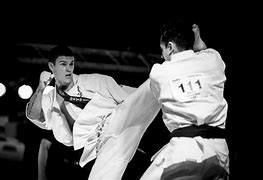 Image result for Kyokushin Karate