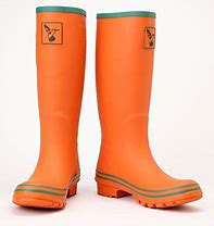 Image result for Joules Evedon Wellies