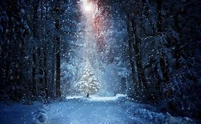 Image result for Snowy Forest Wallpaper 4K