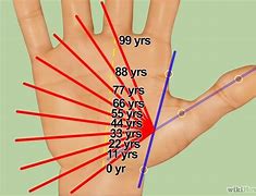 Image result for Palm Companion Device
