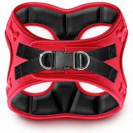 Image result for Easy Walk Chest Harness