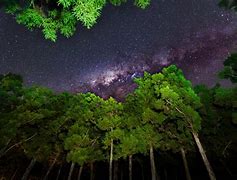 Image result for Desert Night Sky Milky Way Galaxy 4K
