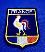 Image result for Coq France PSG