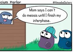 Image result for Migoses Meme