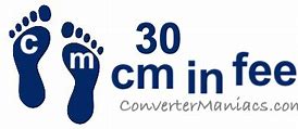Image result for 30 Cm to Feet