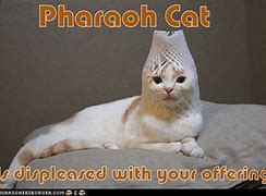 Image result for Pharaoh Cat Meme