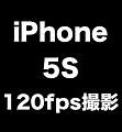 Image result for iPhone 5S versus iPhone 5C