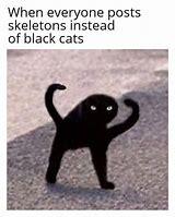 Image result for Black Cat Stance Meme