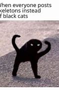 Image result for Black Cat Spaced Out Meme