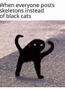 Image result for Cat No Torso Meme