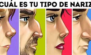 Image result for Tipos De Narices