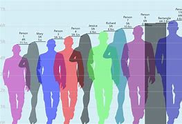 Image result for How Tall Is 11 Meters