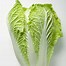 Image result for Chinese Vegetables