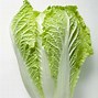 Image result for Chinese Vegetable Market
