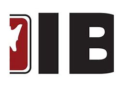 Image result for IBC 24 Logo