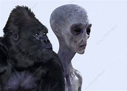 Image result for Ape and Alien