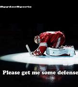 Image result for Arizona Coyotes Memes