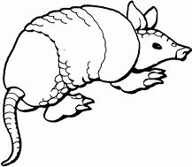 Image result for Armadillo Outline Clip Art