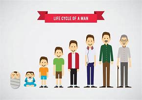 Image result for Life Circle of Man