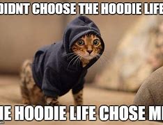 Image result for Cat in a Hoodie Meme