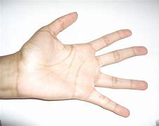 Image result for Hand Wrestling