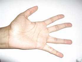 Image result for Hand Unit