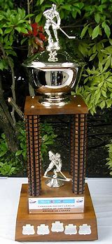 Image result for Rookie of the Year Award Trophy