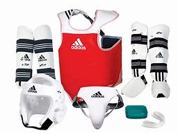 Image result for Sparring Kit