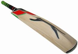 Image result for Cricket Bats Slazenger Alpha 400
