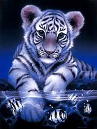 Image result for Baby White Tiger Drawing