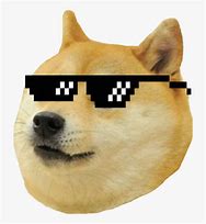 Image result for Dog with Glasses Meme