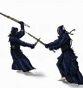Image result for Sword Martial Arts Styles