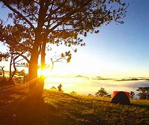 Image result for Camping Da Lat